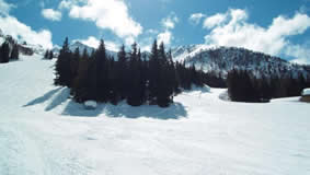 lyžování aprica