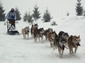 husky village livigno